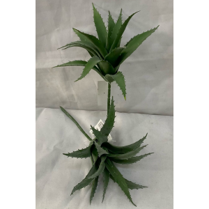 FL SUCULENTA JM89983 ESPETADINHA A20XL13CM