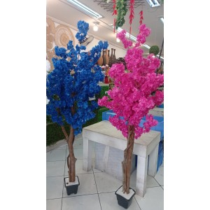 FL ARVORE DE CEREJEIRA BOLINHA alt 190m