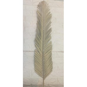FOLHA HE159 DE PALMEIRA LARGA NATURAL (APROXIMADAMENTE 130CM)