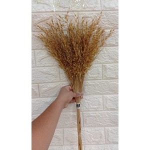 FL HASTE DE BRINCO DE PRINCESA A90XL12CM