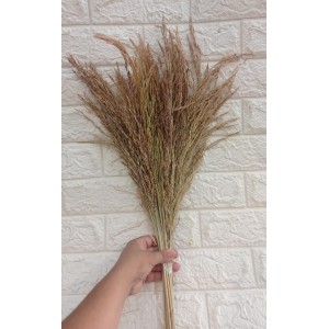 FL HASTE DE CAPIM ARROZINHO NATURAL A105CM