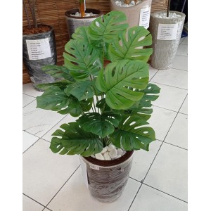 ARVORE 62761 COSTELA DE ADAO 24 FOLHAS A68CM