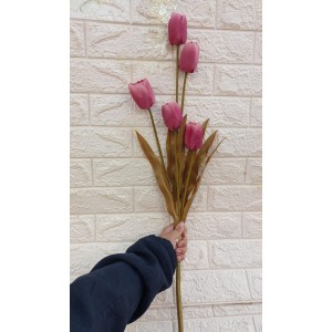 HASTE RH20559 DE TULIPA C/5 GALHOS A83CM