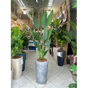 ARVORE 92244 ESTRELICIA C/4 HASTES E 15 GALHOS A140CM