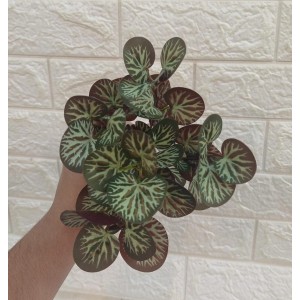 FL BUQUE NX10 DE FOLHAGEM C/5 GALHOS A32CM