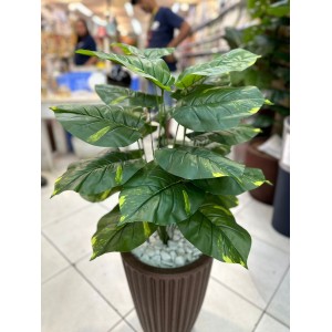 FL ARVORE 32672 DE JIBOIA C/24 FOLHAS A70CM