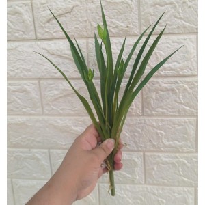 FOLHAGEM LISA 14FL FINA