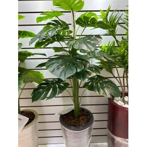 ARVORE 0371-27 COSTELA DE ADAO C/18 GALHOS A97CM