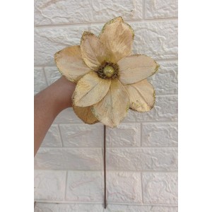 HASTE BN369 BICO DE PAPAGAIO DOURADO A51CM