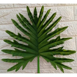 HASTE CB0305 COSTELA DE ADAO A89CM