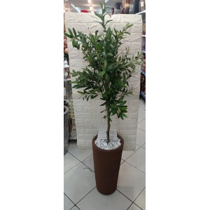 ARVORE 0371-59 DE OLIVEIRA A160CM