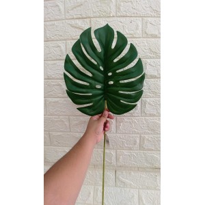 FL HASTE COD2704 FOLHA COSTELA DE ADAO A68XL28CM