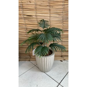 FL MINI ARVORE 33267 PALMEIRA C/ 4G A69CM