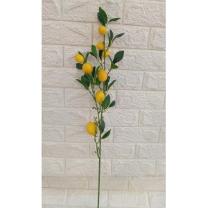 HASTE COD2707 DE LIMAO SICILIANO A86CM