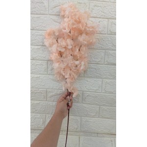 HASTE BG410119CHP DE CEREJEIRA CHAMPAGNE A100CM