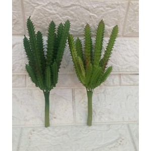 FL SUCULENTA AP-0048 CACTO A22CM