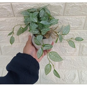 VASO FF-0033 FITONIA DECORATIVO A17CM