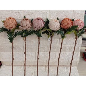 HASTE BG410123E DE ALCACHFRA A54CM