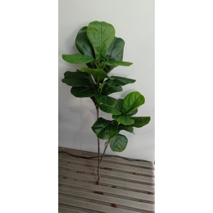 FL GALHO HC98355 DE FICUS LYRATA A104CM