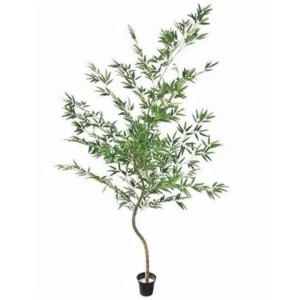 FL BAMBU MOSSO P  A110CM  2663201