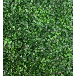 TAPETE GRAMA EUCALIPTO 60X40 P008/60955