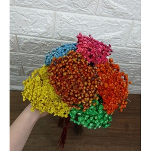 FL SEMPRE VIVA COLORIDA A45XL12CM