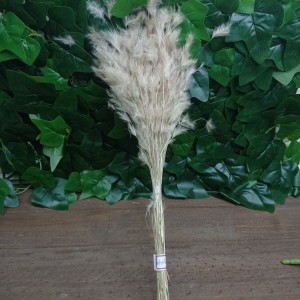 FL MACO DE NEVE NV4562 NATURAL A50CM